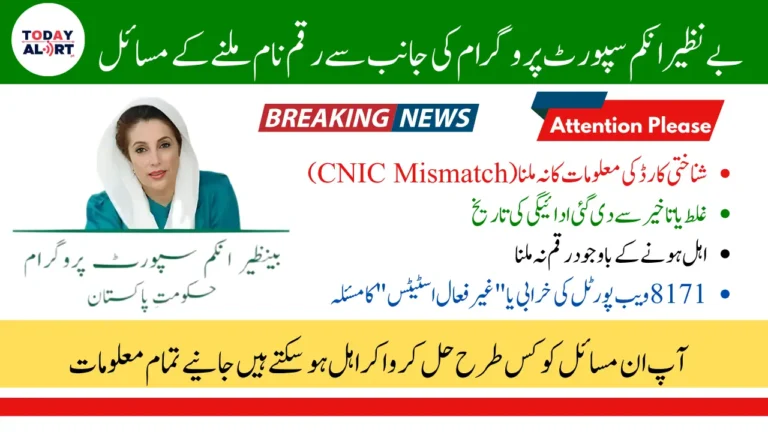 8171 BISP Payment Issues 2025 Solution Step by Step Guide