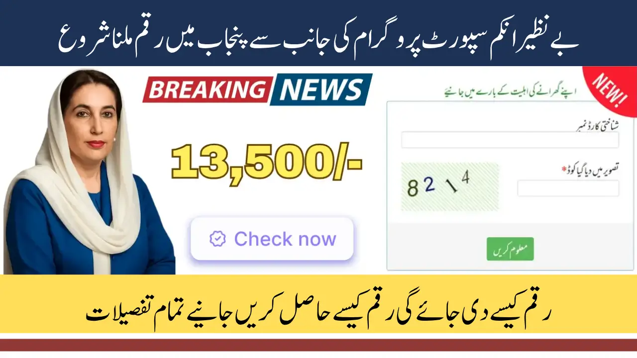 BISP Punjab 2025 Payment Reactivation Complete Detail
