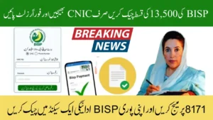 BISP   2025 Payment Status Check – Complete Guide for Beneficiaries