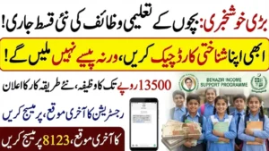 Benazir Taleemi Wazaif New Payment Verification