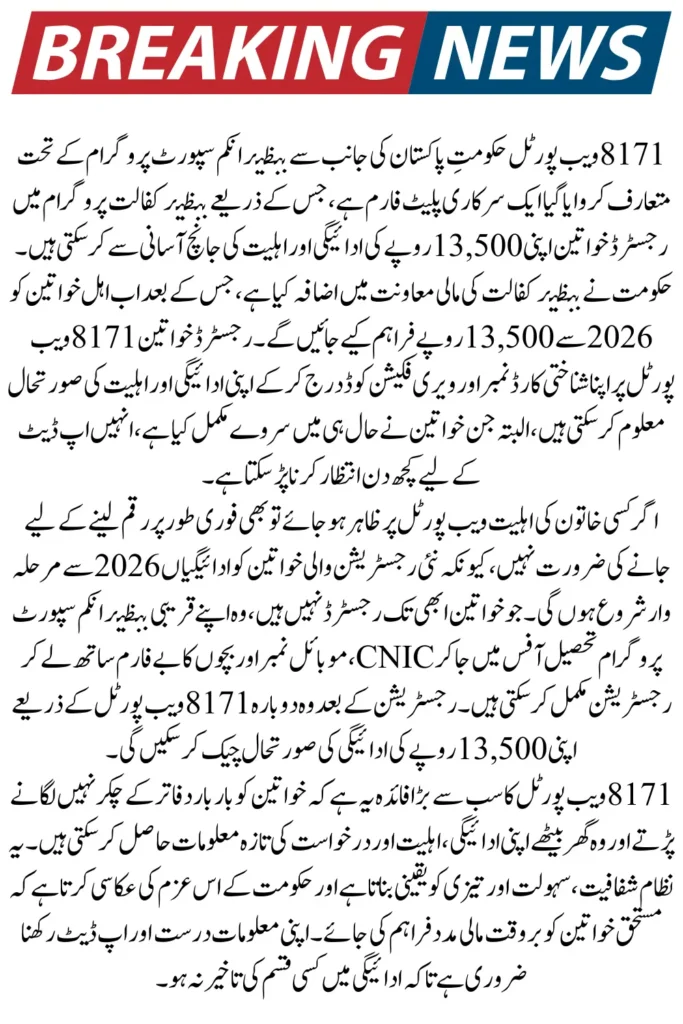 How to Use the 8171 Web Portal to Check Your 13500 Payment Status