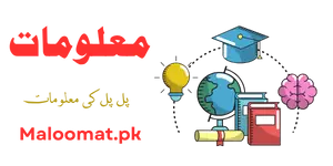 Maloomat